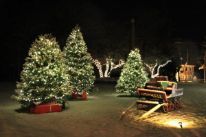 Norwell's Christmas Lights on the Common
